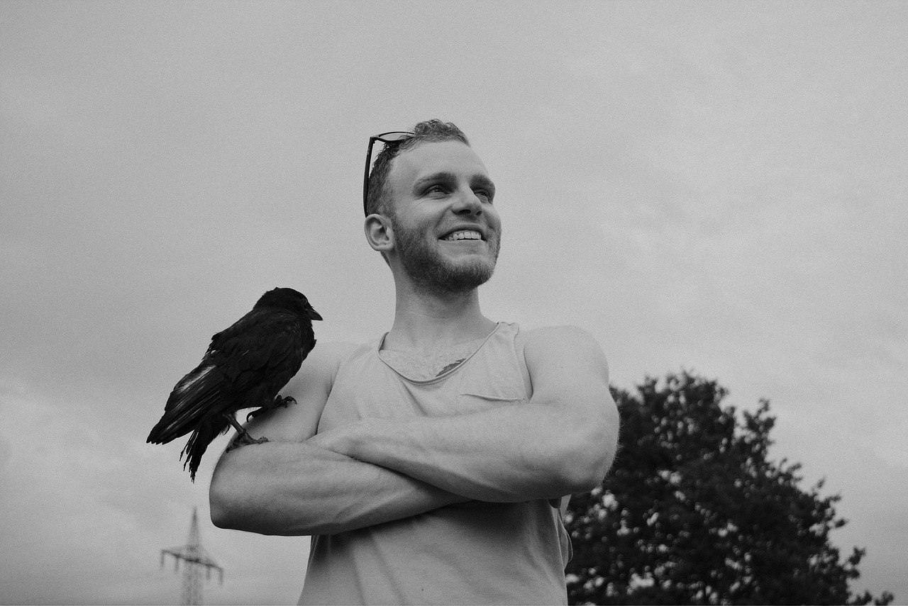 hero boy, bird, crow, black, white, top, outdoor, pirate, nature, entrepreneurship, entrepreneurship, entrepreneurship, entrepreneurship, entrepreneurship, entrepreneurship